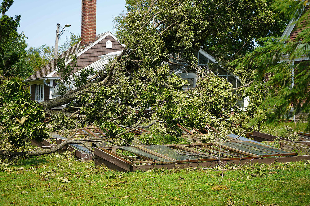 Brucemore-Derecho-Damage-August-2020-16-reduced.jpg