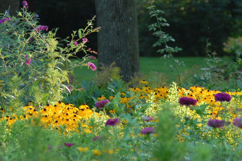 Prairie Style Landscape