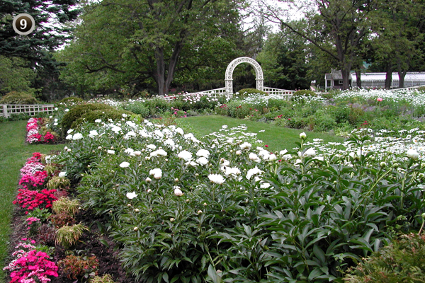 gardens