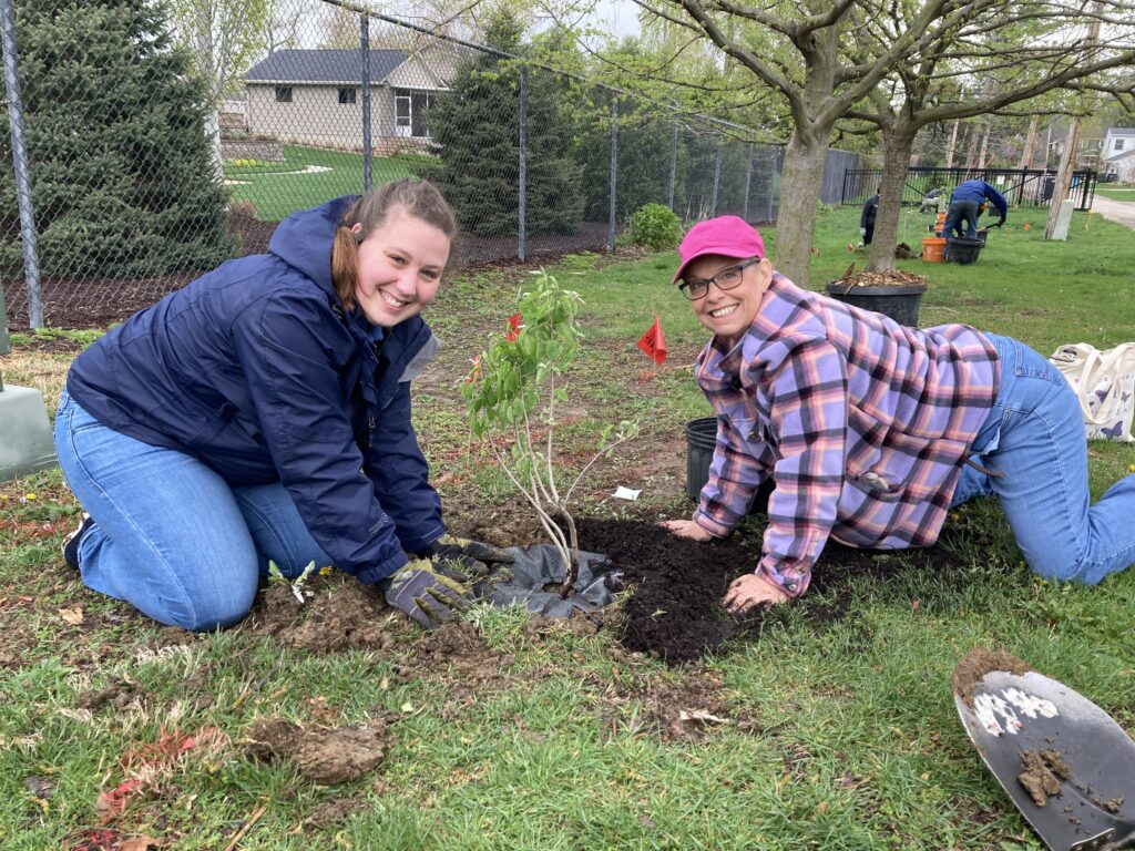 Staff planting trees