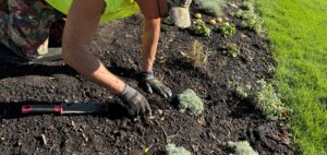 Night Garden Restoration